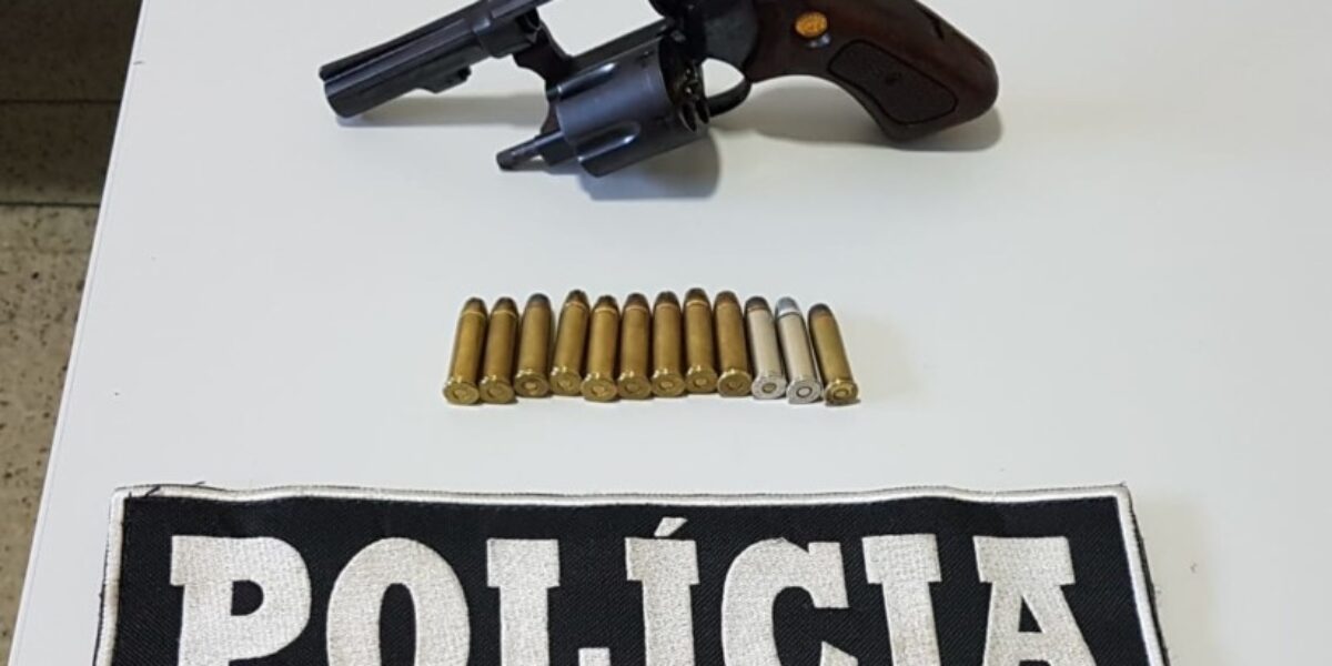 Polícia Civil de Jaraguá  prende homem por posse ilegal de arma de fogo