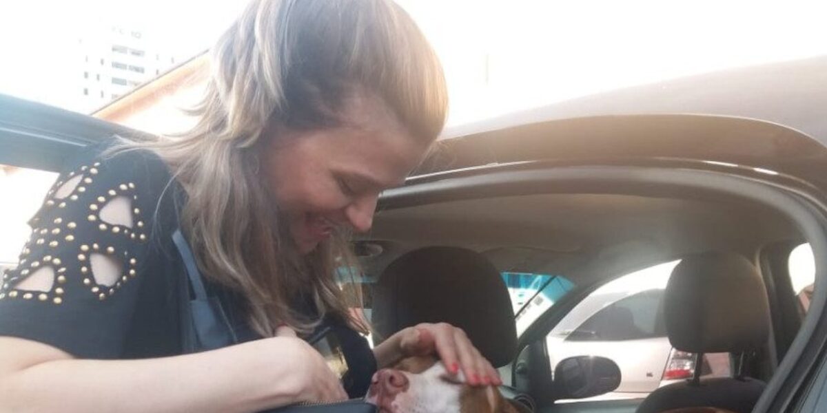 Equipe da Decon recupera cadela pitbull que havia sido levada por casal