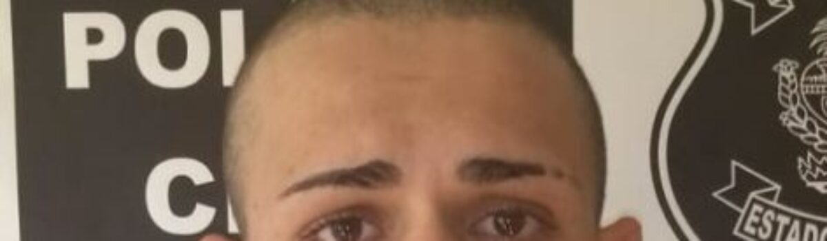 Polícia Civil de Itapuranga prende investigado por homicídio