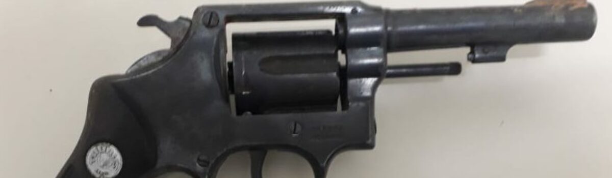 Genarc de Anápolis recupera carro furtado em Abadiânia e encontra drogas e arma no local onde veículo estava