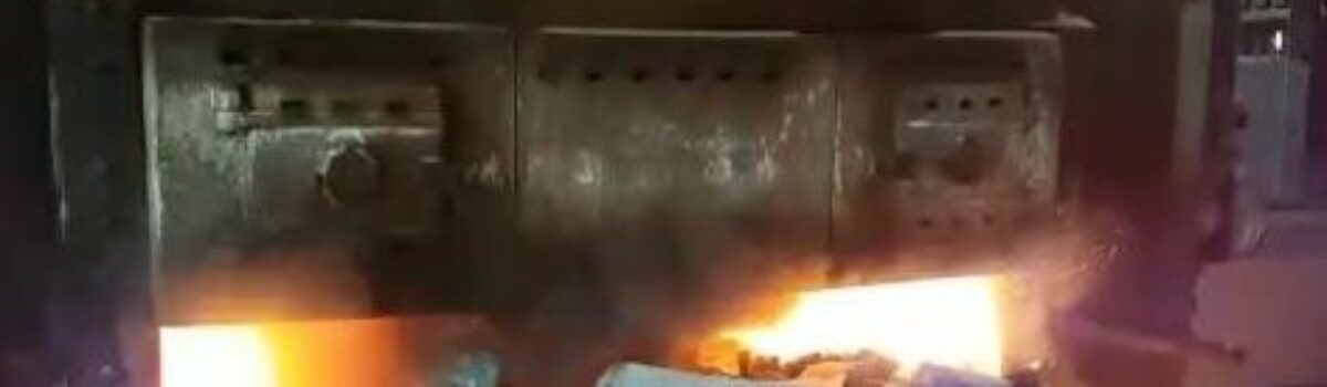 Denarc incinera quase cinco toneladas de drogas