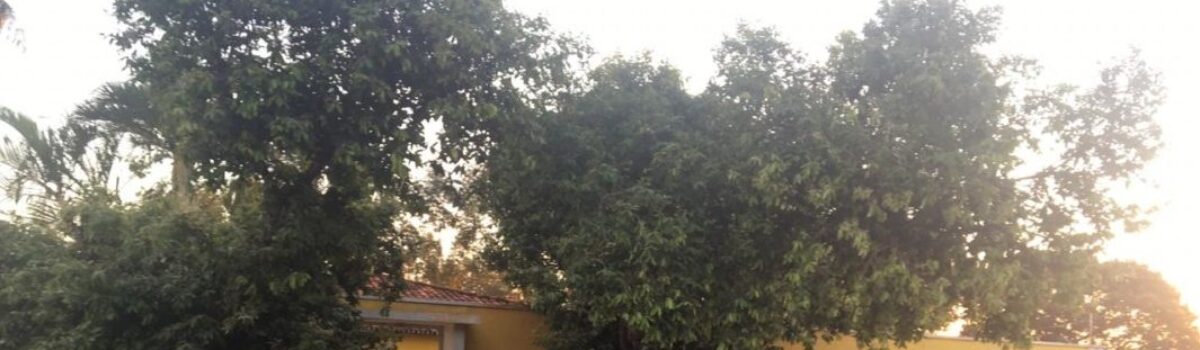 Operação Redenção: 6ª DRP flagra clínica para dependentes químicos que os mantinha em cárcere privado em Bom Jesus