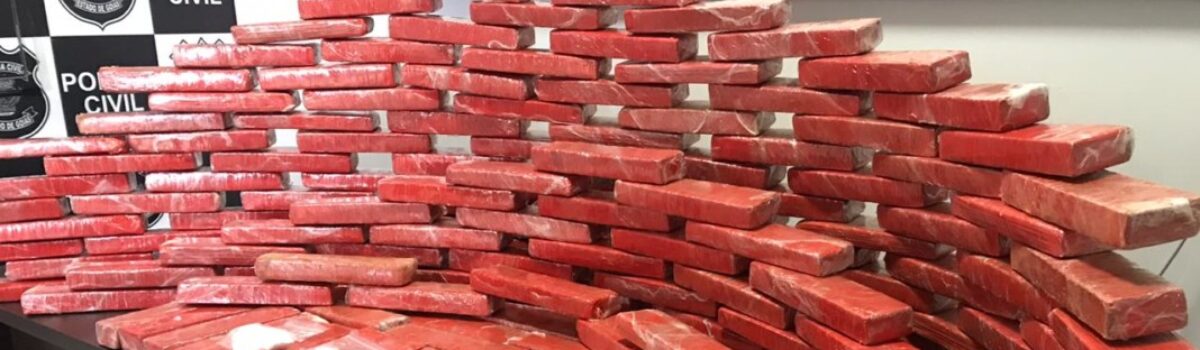 Denúncia anônima leva Denarc a apreender 100 kg de maconha na Vila São José