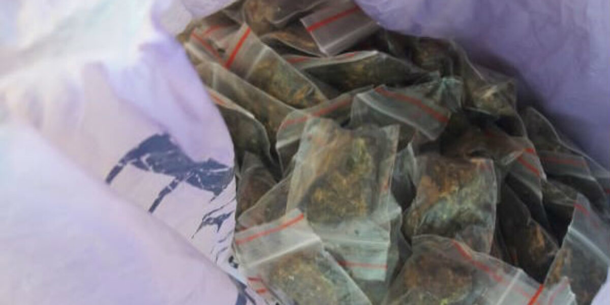 Denarc prende traficante e encontra porções de maconha enterradas em quintal