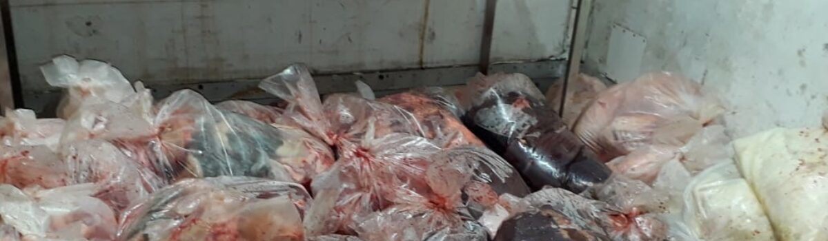 Decon apreende 17 toneladas de carne clandestina imprópria para o consumo