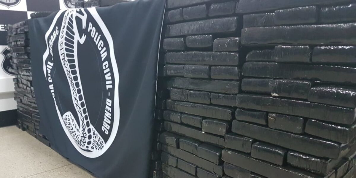 Operação da Denarc apreende 700 quilos de maconha na GO-341