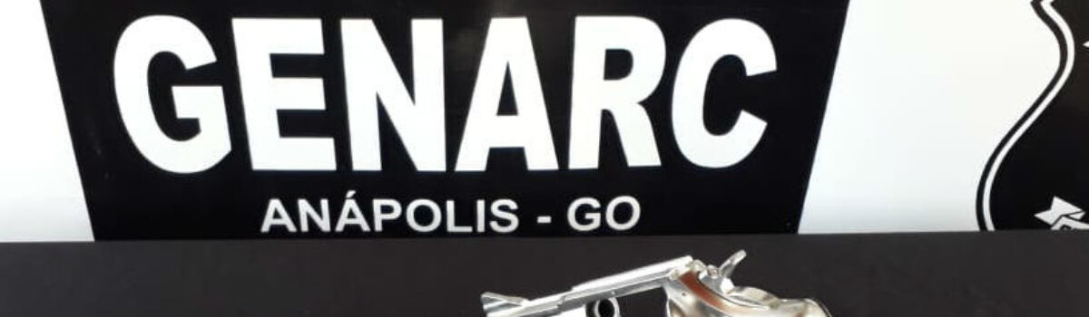 Genarc de Anápolis apreende armas e munições