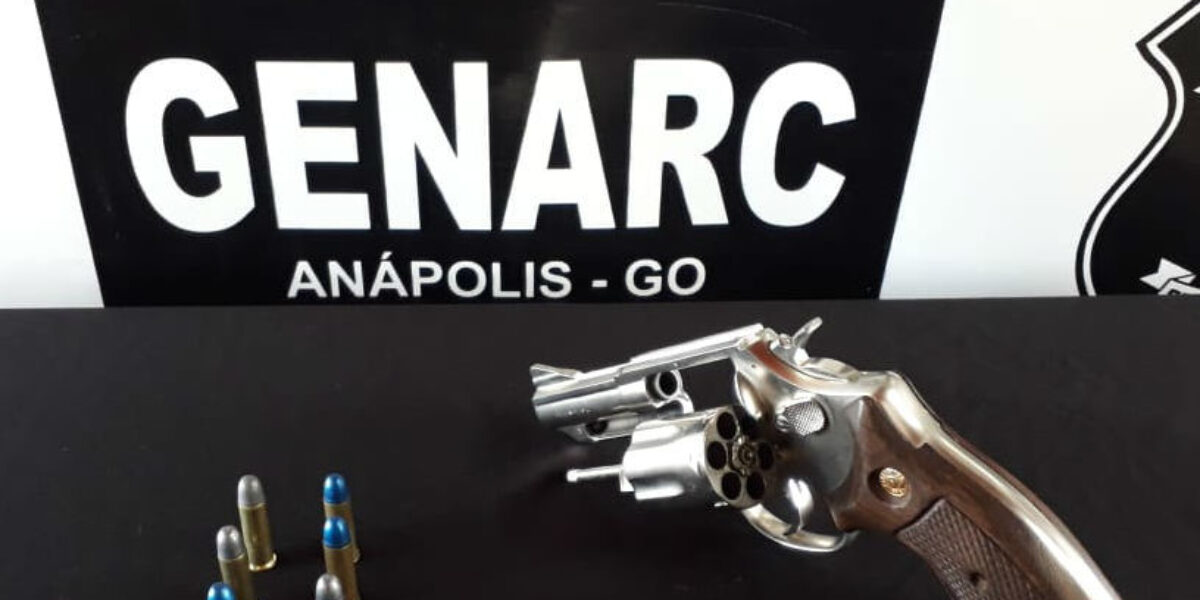 Genarc de Anápolis apreende armas e munições
