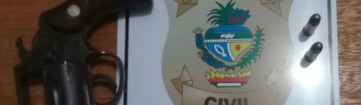 Polícia Civil apreende arma e munições em Morrinhos