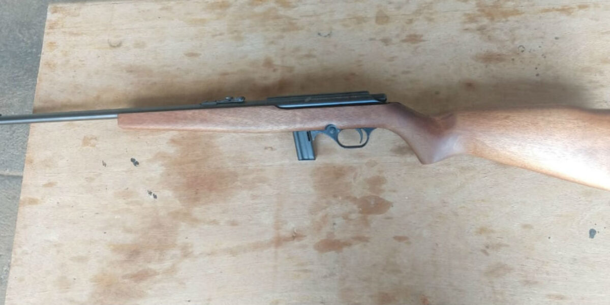 Policiais civis recuperam arma longa furtada em Goiânia