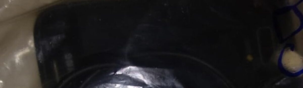 Presos quatro suspeitos de associação para o tráfico em Montes Claros de Goiás