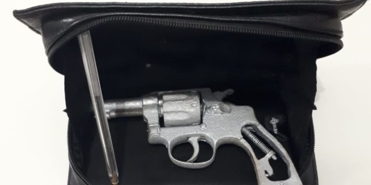 Arma de fogo é apreendida durante cumprimento de mandado em Palmelo
