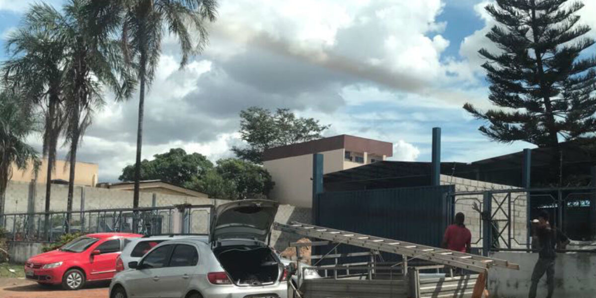 DERFRVA conclui Operação Sétimo Selo; 15 pessoas foram indiciadas e 30 veículos, apreendidos