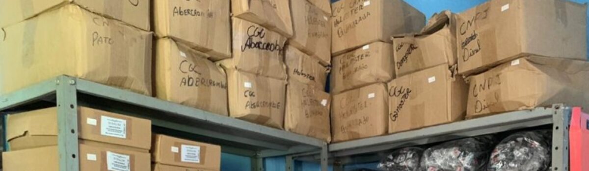 Apreendidas quase 5 toneladas de itens de vestuário falsificado em Jaraguá