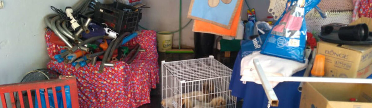 Preso suspeito de incendiar residência onde seu companheiro criava animais para venda; bichos foram furtados