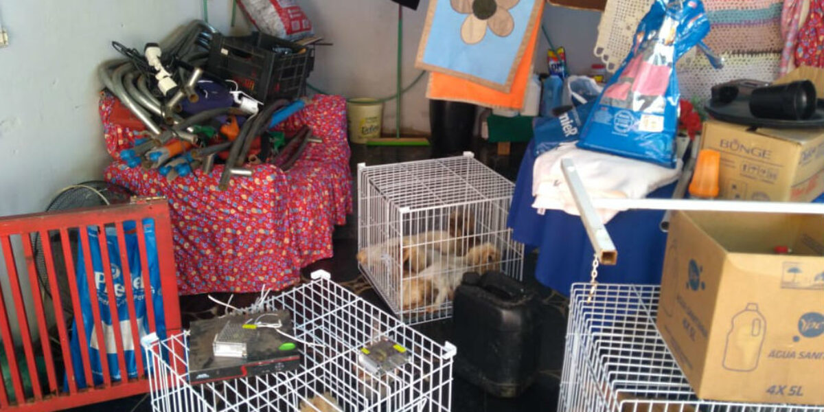Preso suspeito de incendiar residência onde seu companheiro criava animais para venda; bichos foram furtados