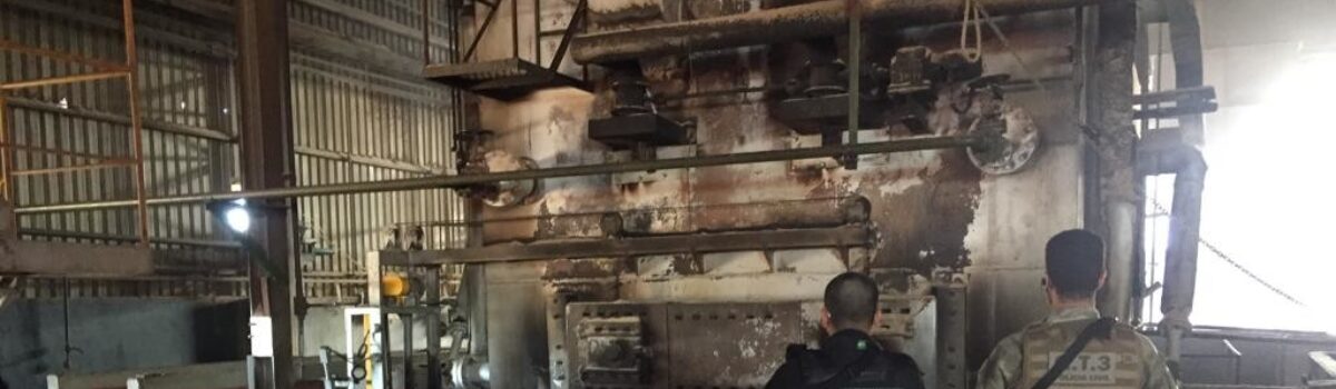 Denarc incinera 7 toneladas de drogas