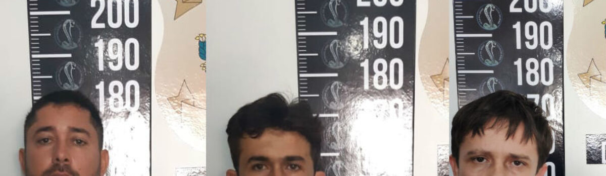 Presos suspeitos de fazer parte de quadrilha que enviava drogas e armas para o nordeste
