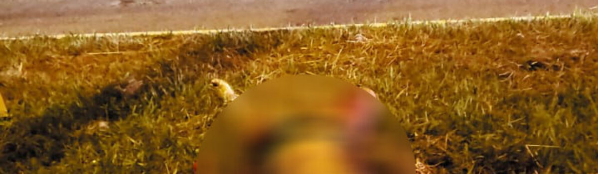 Homem é preso suspeito de matar a esposa, em Aparecida de Goiânia