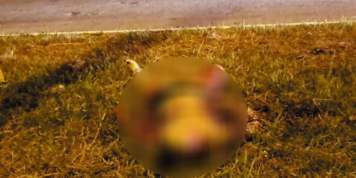 Homem é preso suspeito de matar a esposa, em Aparecida de Goiânia