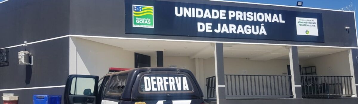 Operação Emboscada: presa mulher que arquitetou roubo na fazenda do ex-companheiro; outros três envolvidos também foram detidos