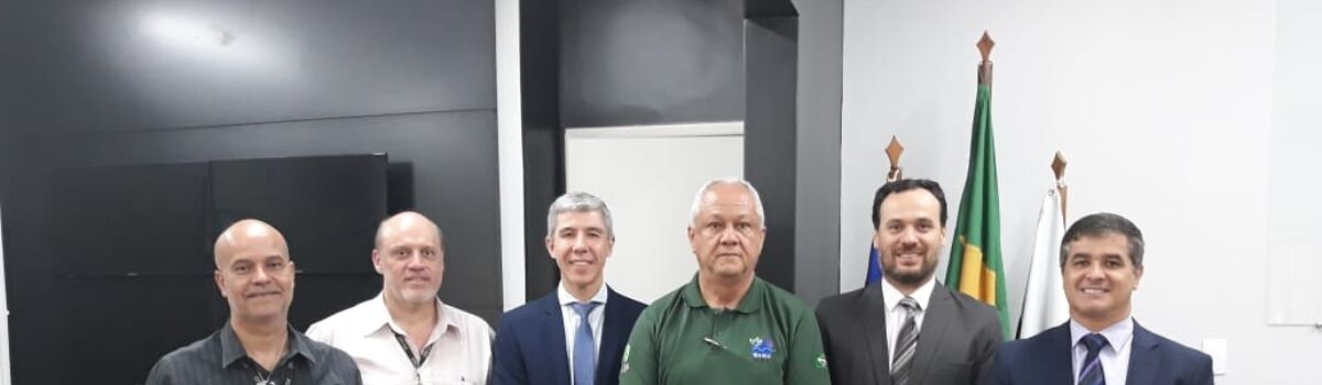 Polícia Civil recebe doação de madeiras do Ibama