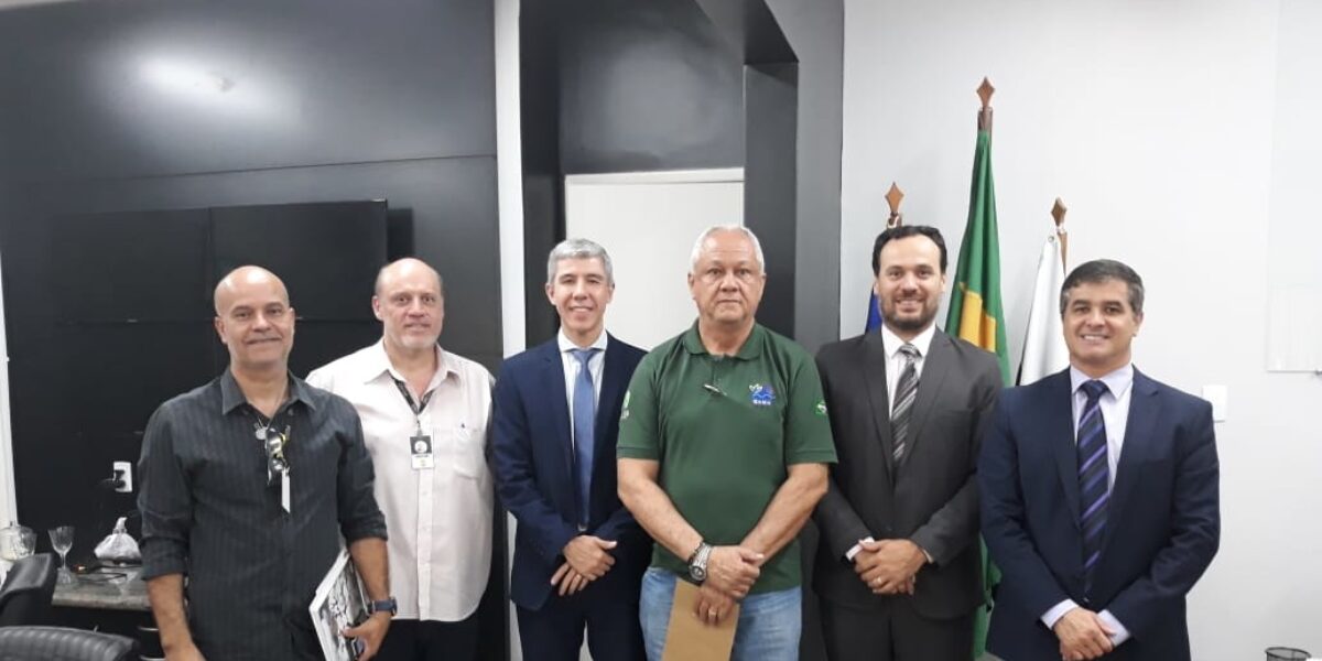 Polícia Civil recebe doação de madeiras do Ibama