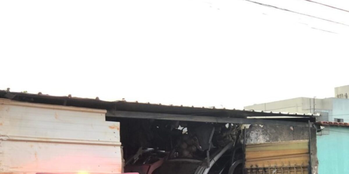 Polícia Civil de Goiás dá apoio à PCDF em megaoperação de desmanche de veículos