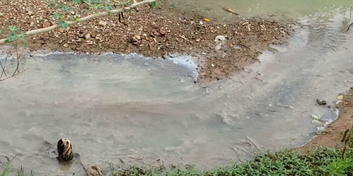 Donos de laticínio são presos por crime ambiental em São Luís de Montes Belos