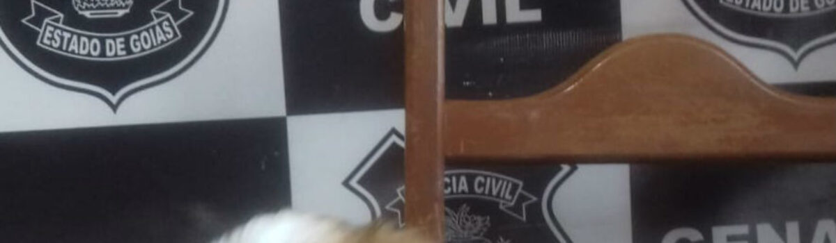 Polícia Civil recupera cachorro furtado de criança com necessidades especiais em Ceres