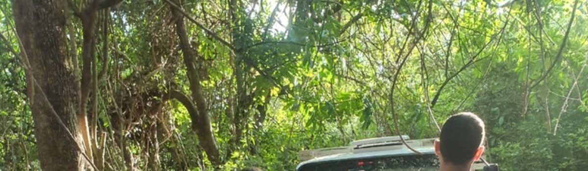 DERFRVA prende dois coautores e localiza caminhonete roubada em Aparecida