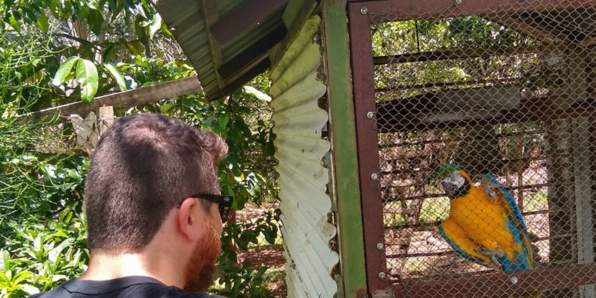 Policiais de Cumari resgatam Arara-Canindé de cativeiro