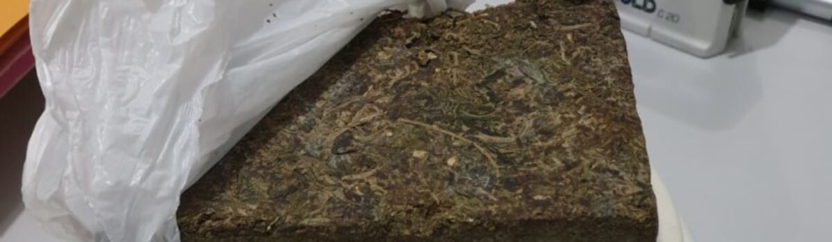 DP de Campos Belos prende suspeitos por tráfico