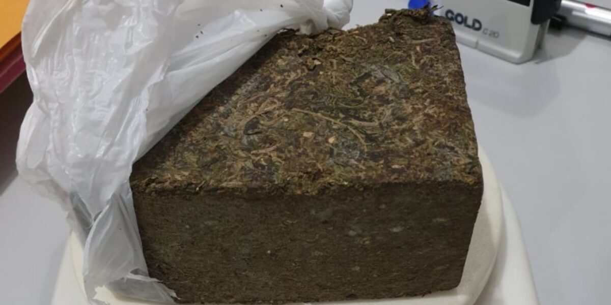 DP de Campos Belos prende suspeitos por tráfico