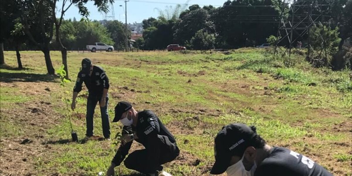 Policiais civis das especializadas plantam 50 mudas no Parque Campininha das Flores