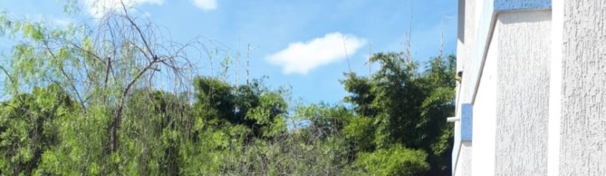 Operação Lockdown prende suspeitos de tráfico em Uruaçu