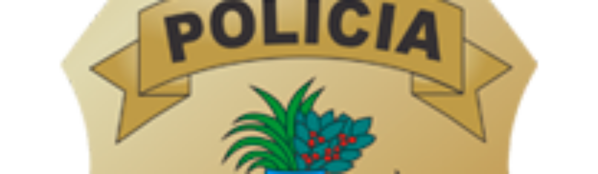 Suspeito de homicídio praticado em Ipameri é preso pela PCGO em Bela Vista