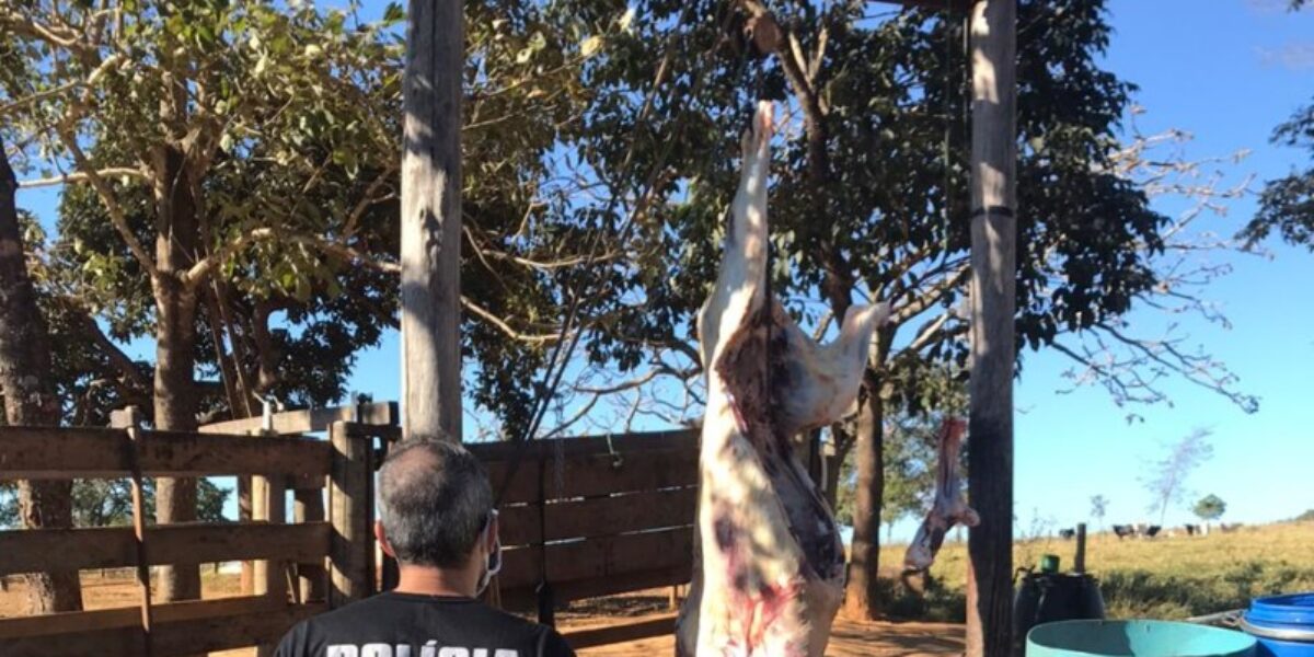 Polícia Civil, por meio da Decon, prende suspeito em abate clandestino