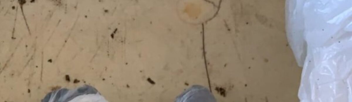 Homem é preso por tráfico de drogas e receptação pela 8ª DDP