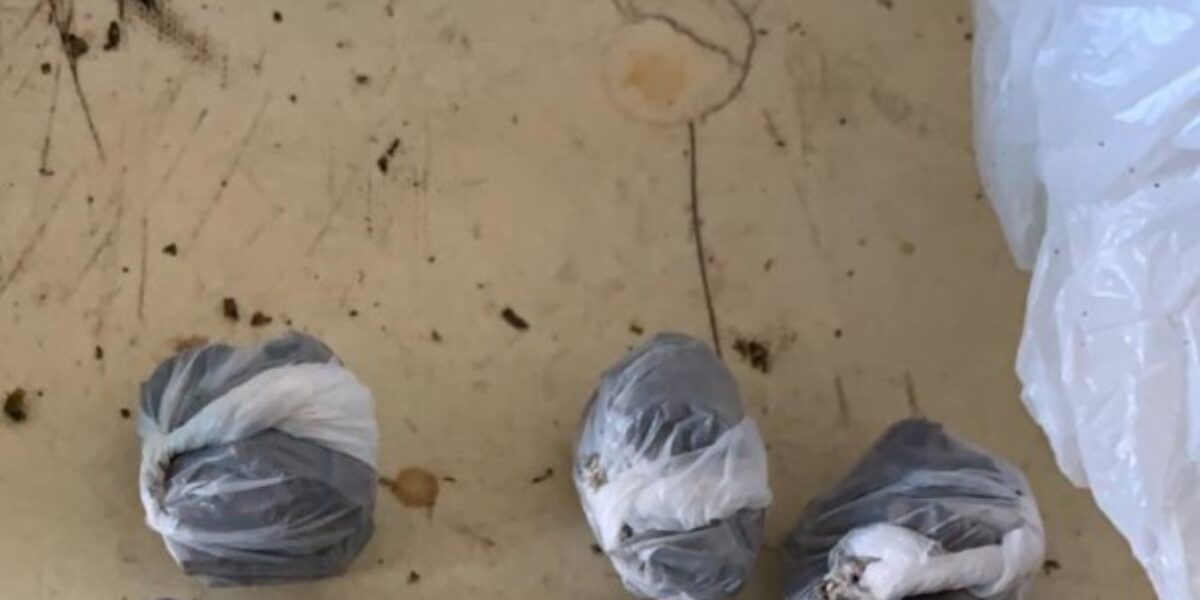 Homem é preso por tráfico de drogas e receptação pela 8ª DDP
