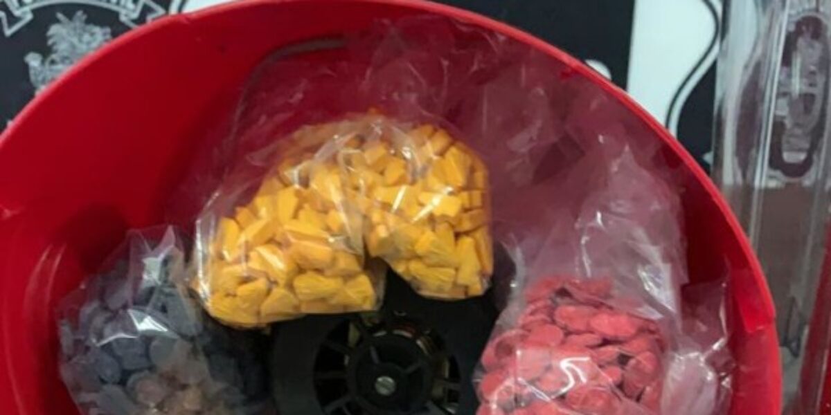 Mais de mil comprimidos de ecstasy são apreendidos em liquidificador; mulher foi presa em flagrante, em Rio Verde