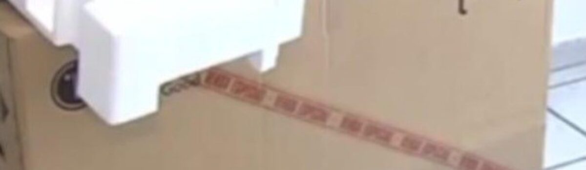 Suspeito de aplicar golpes é preso em Goiânia; vítimas recebiam pedaços de madeira ao invés dos eletrônicos comprados