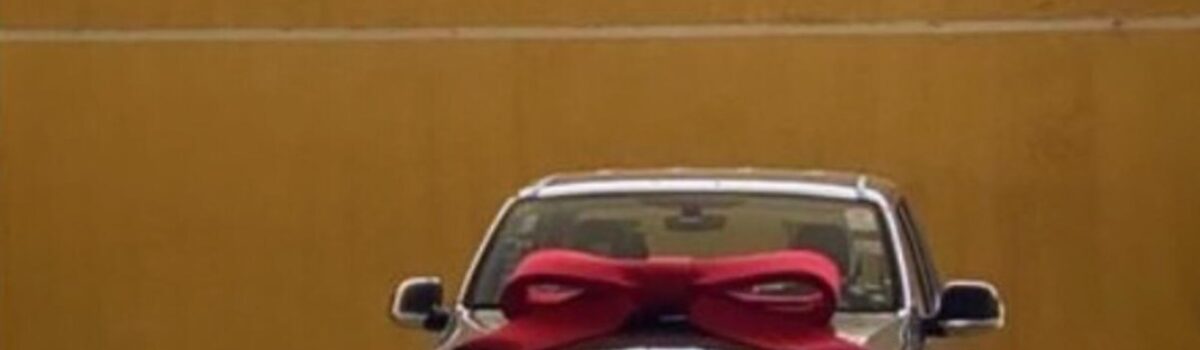 Polícia Civil prende em Goianésia dois suspeitos de tentar aplicar golpe em concessionária de veículos após movimentar contas financeiras falsas