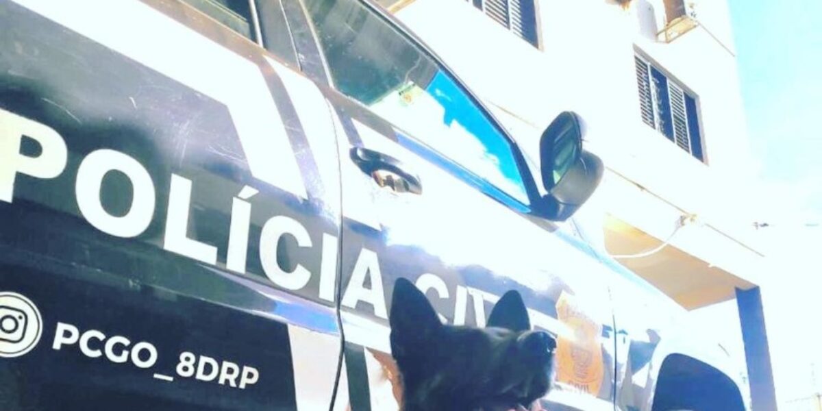 Polícia Civil prende, com ajuda de cão farejador, mãe e filha investigadas por tráfico em Rio Verde