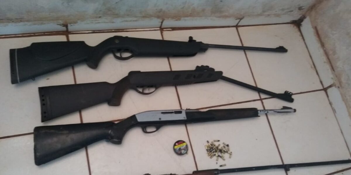 Denarc prende em flagrante homem com posse irregular de arma em Rio Verde