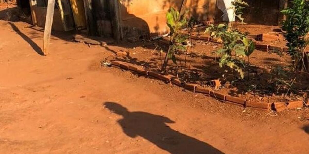 Polícia Civil prende homem suspeito de agredir e ameaçar companheira; ele jogou um toco de madeira no rosto da vítima