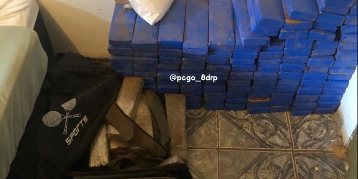 Polícia Civil apreende 150 kg de drogas em Rio Verde
