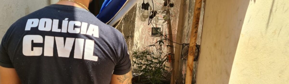 Polícia Civil autua homem que cultivava drogas em seu comércio, em Jaraguá