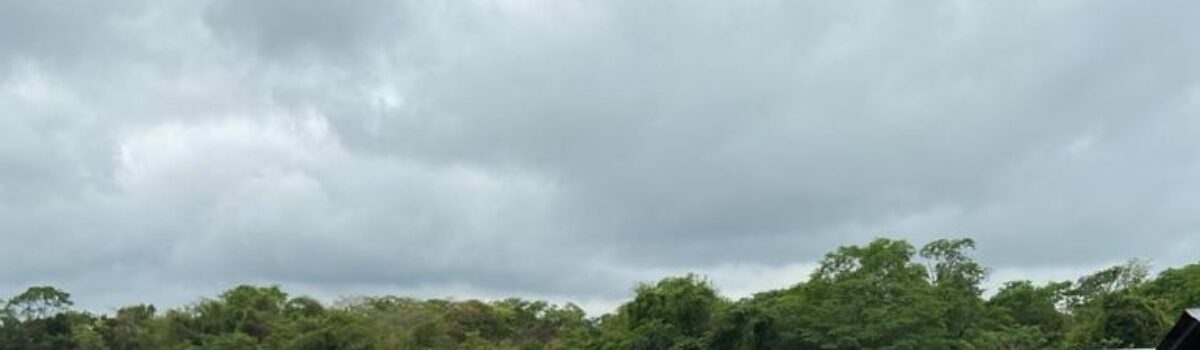 GIH de Uruaçu elucida homicídio ocorrido em São Luiz do Norte em menos de 24h após o fato