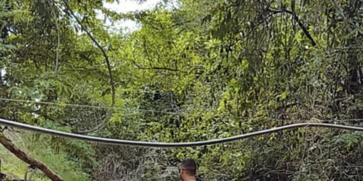 Polícia Civil prende em flagrante proprietário rural por furto de energia elétrica da Prefeitura de Posse